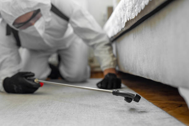 Professional Bed Bug Control technician working in Chester, PA