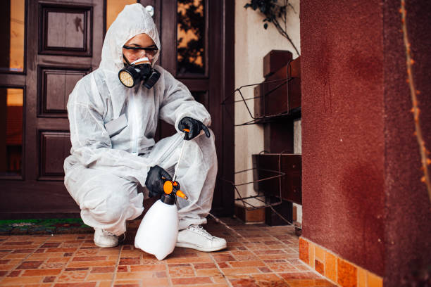 Reliable Bed Bug Control contractor in Chester, PA by Nex Pest Control